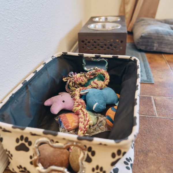 DR Dog Toys